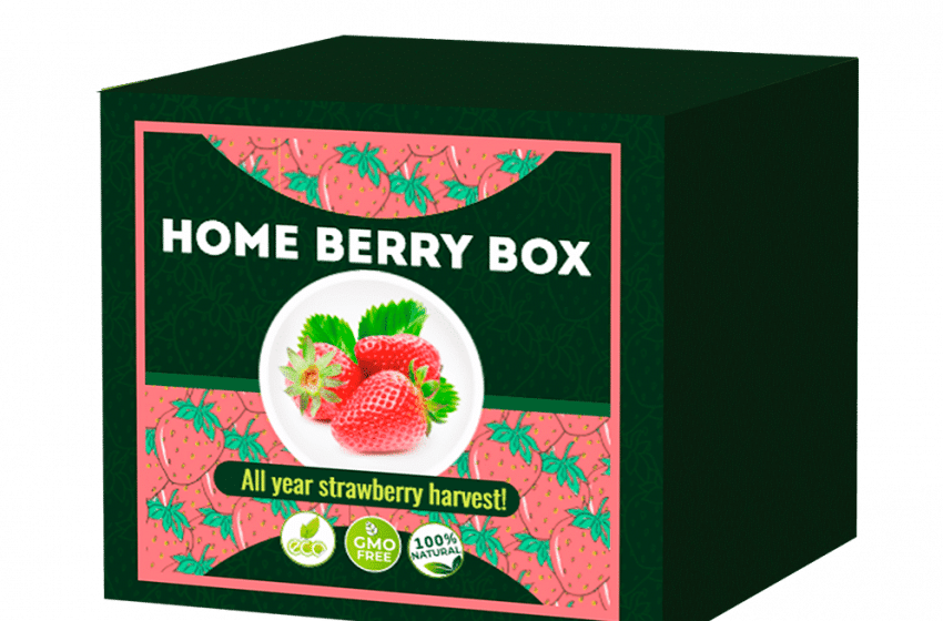 Home Berry Box - product review